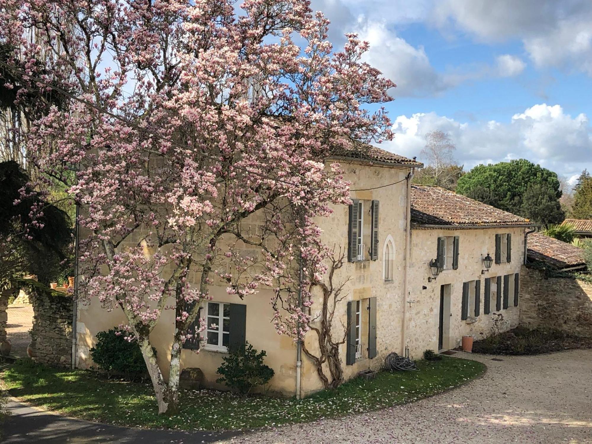 Bed & Breakfast Domaine Des Monges Saint-Seurin-de-Prats
